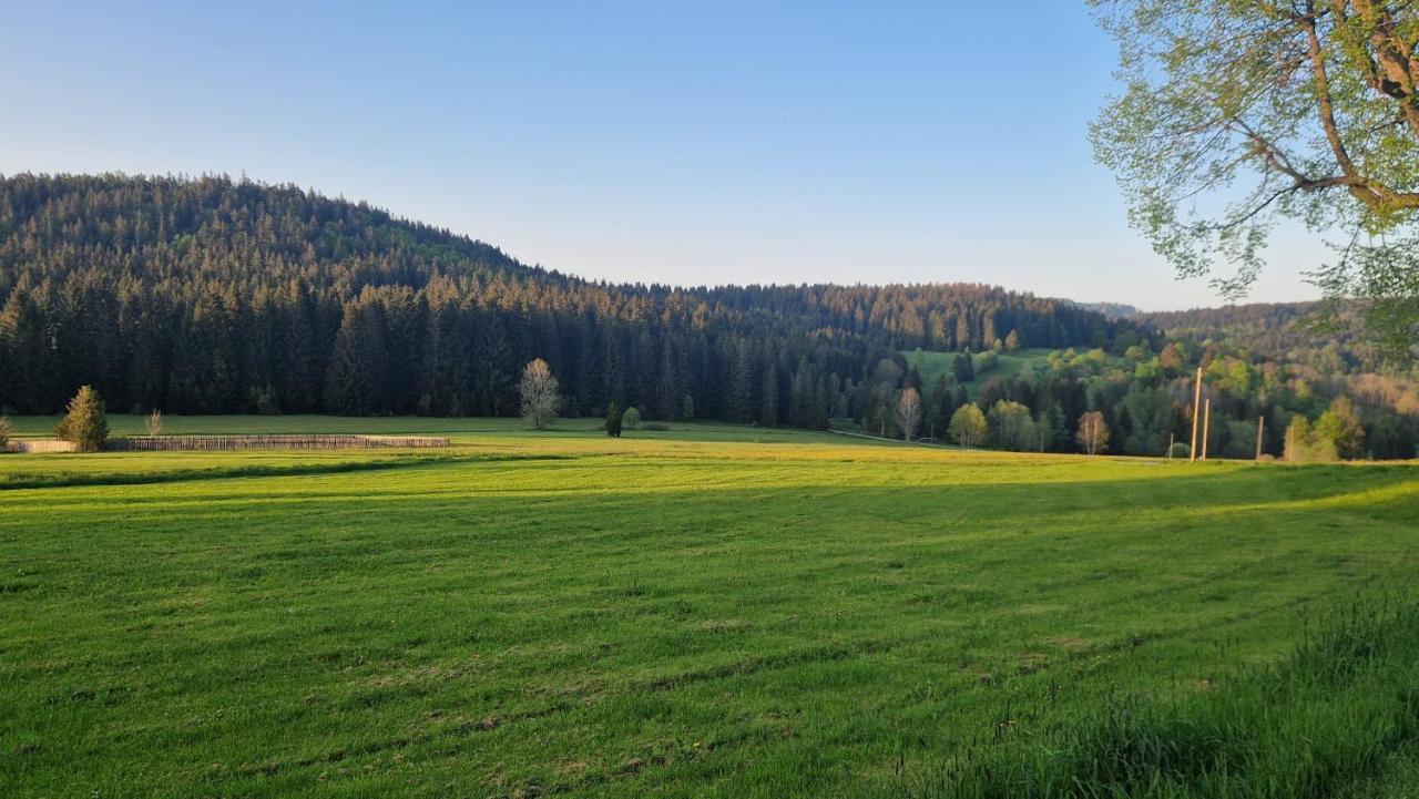 Two Apartaments Almberg - Mitterdorf-Mitterfirmiansreut Exteriér fotografie