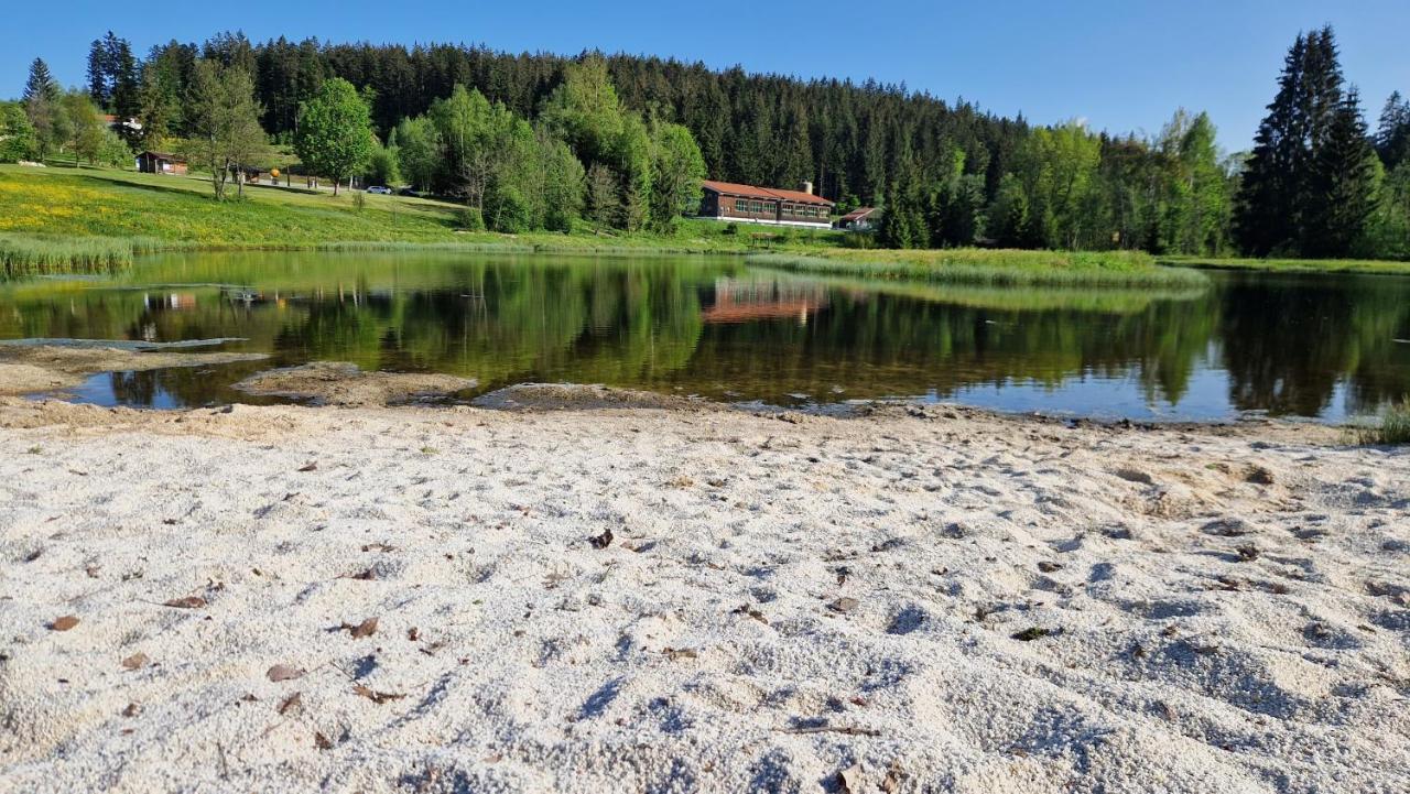 Two Apartaments Almberg - Mitterdorf-Mitterfirmiansreut Exteriér fotografie